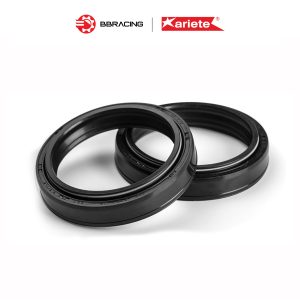 Phốt Dầu Ariete 41 x 52,2 x 11